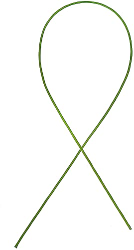 FOIMAS 18 Gague Floral Stem Wire,100pcs Paper Wrapped Florist Wire for Floral Arrangement