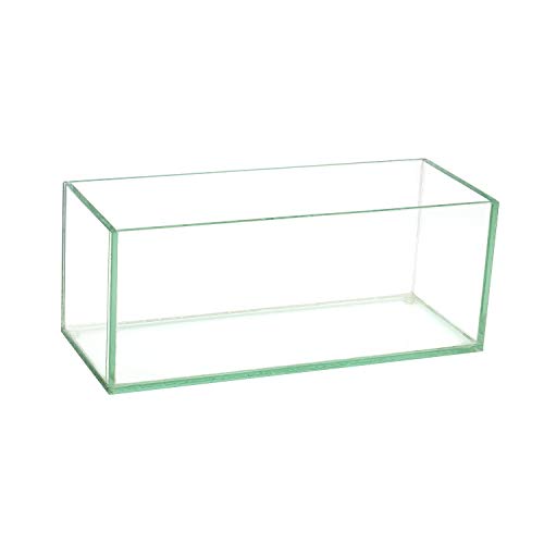 Royal Imports Flower Glass Vase Decorative Centerpiece for Home or Wedding Oblong Rectangle Shape, 10" Long, 4" Hx4 W Opening, Clear - color: Clear, size: 10" (4x4)