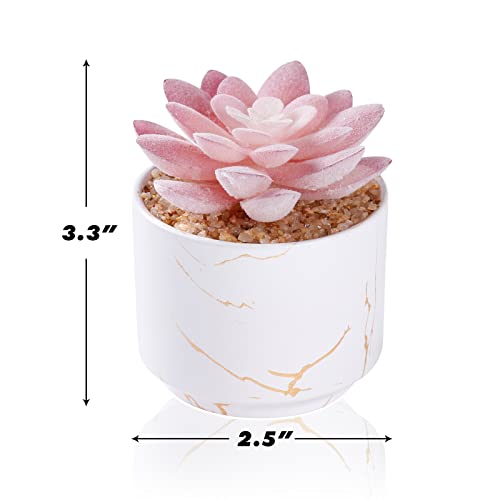 ZENIDA Succulent Artificial Plants,Cute Fake Succulents in 1 White Ceramic Pots,Small Fake Plants for Office,Table,Desk,Bathroom, Bedroom,Aesthetic Room Shelves Decor,Desk Decorations for Women Office - color: White