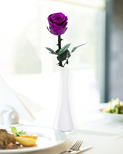 Purple Flowers for Delivery Prime, Preserved Purple Roses Flower Gifts for Women, Real Roses Single Rose Gifts for Her, Mom Birthday Gifts from Daughter, Valentines Flowers - color: 06-purple