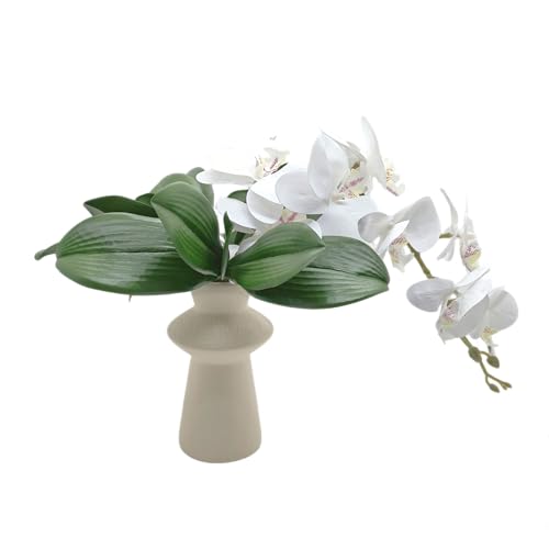 M2cbridge Artificial Green Orchid Leaves Phalaenopsis Stems Real Touch for Flowers Arrangements Pot Decor(10",2pcs) - color: 10",2pcs