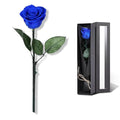 Blue Flowers for Delivery Prime, Preserved Blue Roses Flower Gifts for Women, Real Roses Single Rose Gifts for Her, Mom Birthday Gifts from Daughter, Valentines Flowers - color: 05-blue