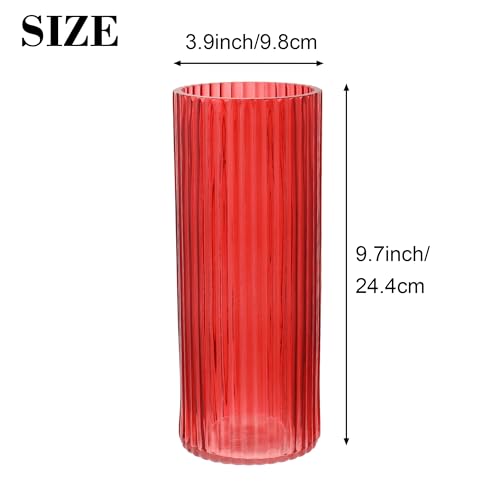 Red Glass Vase for Flowers, Ribbed Glass Vase for Tulips, Modern Red Vases, Tall Cylinder Glass Vases for Living Room, Bedroom, Dining Table, Office, Wedding, Bookshelf, 10 Inches - color: Red, size: 10''