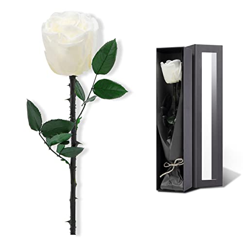 White Flowers for Delivery Prime, Preserved White Roses Flower Gifts for Women, Real Roses Single Rose Gifts for Her, Mom Birthday Gifts from Daughter, Valentines Flowers - color: 01-white