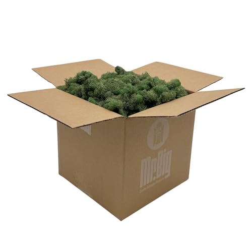 Preserved Reindeer Moss - Moss for Crafts, Home Decor, Art, Design & DIY Projects - Non-Toxic - USA Made (Basil, Standard Box) - color: Basil, size: Box