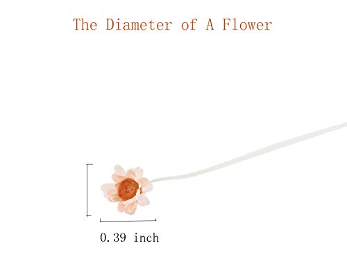 100 Stems Natural Dry Flowers Brazilian Small Star Daisy Decorative Dried Flowers Mini Daisy Chamomile Bouquet for Wedding Floral Arrangements Home Decorations (Lotus Color) - color: Lotus Color