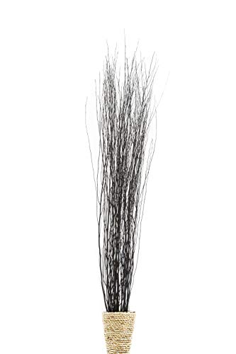 Leewadee Tall Vase Filler, Natural Grass Stems – 2 Bunches of Colored Decorative Branches for Vases, Carefully Dried Rattan Twigs for Home Decoration, 45 inches, Black Brown - color: Black Brown, style: Rattan Branches