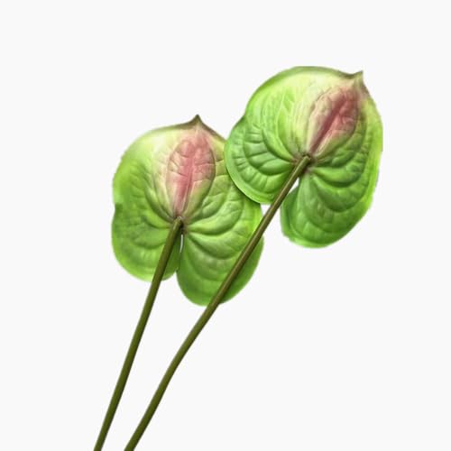8pcs Artificial Anthurium Flower Single Stem 60cm Long, Green Faux Flamingo Lily Plant with Realistic Leaves, Fake Tropical Flowers for Home Decor Wedding Vase Arrangement - color: Green