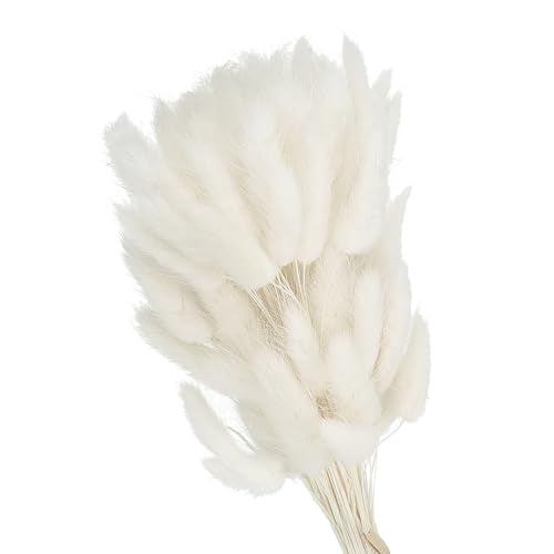 PATIKIL 15.7in Bunny Tails Dried Flowers, 80pcs Pampas Grass Decor Rabbit Tail Natural Pampas Grass Bulk Fluffy Faux Pampas Grass Dried for Home Boho Decor Vase Wedding Table, White - color: White