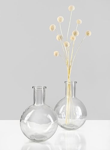 Serene Spaces Living Clear Bottleneck Bulb Glass Vase, Vintage Round Flower Vase for Console Table, Shelf, Living Room, Bathroom, Office, Wedding, Measures 5.3" Diameter & 7.48" Tall, Pack of 16 - color: Clear, Set of 16