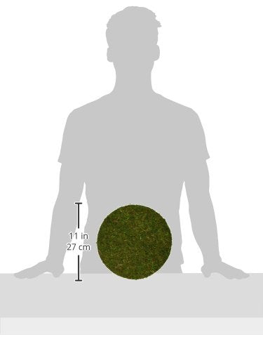 SuperMoss (26335) Moss Soil Toppers, Fresh Green, Assorted 4 Sizes - color: Fresh Green, size: 4 units: 4", 5", 6", 8"