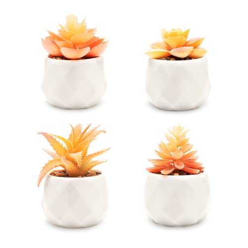 VIVERIE Mini Orange Artificial Succulent in Pots (White Ceramic, 4 Pot Set) Fake Plants for Indoors, Office Home Halloween/Christmas Decor Gifts-Faux Plant Gifts for Women - color: Orange
