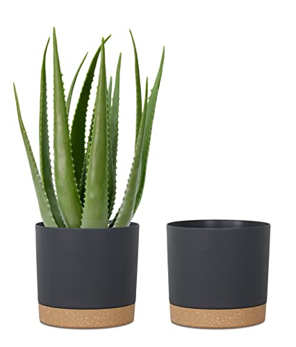 kubvici Plant Pots for Indoor Plants, 2 Pack 10 Inch Plant Pot Plastic Flower Pots Planters with Drainage Saucer for Indoor Outdoor Garden Home (10" Black) - color: Black, size: 10 inch