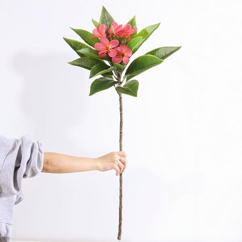 XIYUAN 35.5 Inch Artificial Flowers Artificial Frangipani Flower 2 Stems Lifelike Real Touch Artificial Plumeria Flowers for Home Party Wedding Bouquet Home Decoration (Red) - color: Red