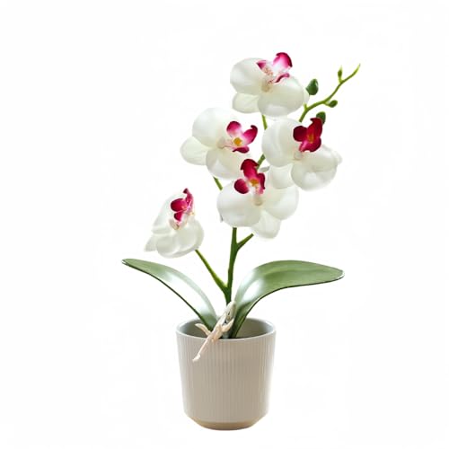 10.2" Orchids Artificial Flowers Fake Orchid Plant Potted Butterfly Orchid Silk Flowers Decor for Home Living Room Bathroom Wedding Office Decoration (White) - color: White