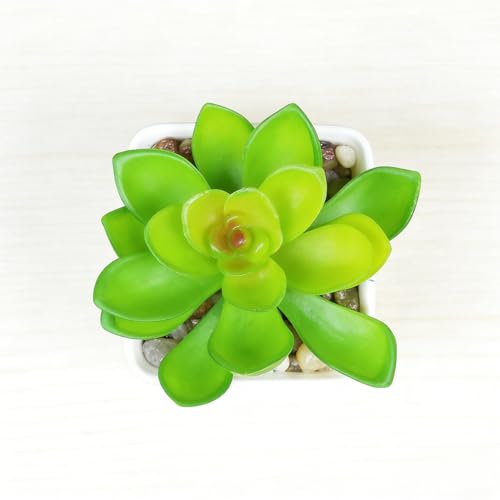 Artificial Succulent Plants in Pot - 1Pcs Stone Lotus Realistic Fake Potted Succulents for Home Decor, Desk, Office, Bathroom, Windowsill - Indoor Houseplant for Bedroom, Kitchen, Shelf - color: Stone Lotus