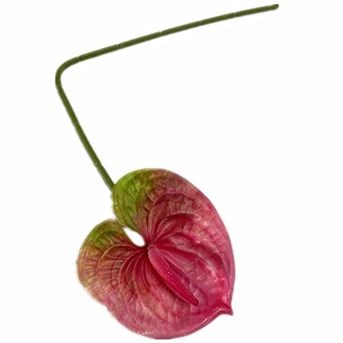 8pcs Artificial Anthurium Flower Branch 60cm 3D Printing Effect Faux Real Touch Single Stem per Piece Anthurium for Home Table Floral Decoration (deep Pink) - color: Deep Pink