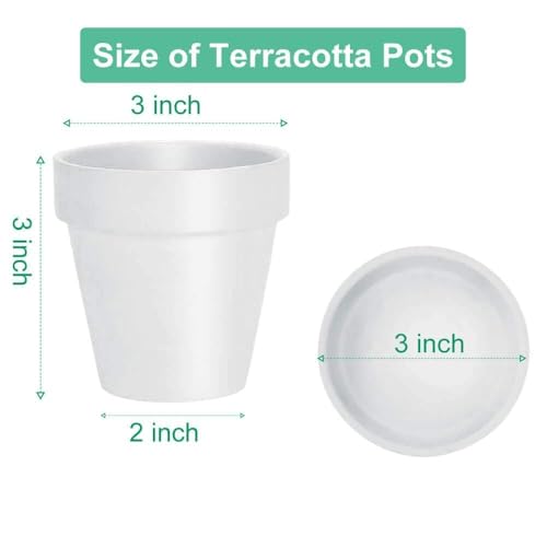 vensovo 3 inch White Terracotta Clay Pots for Plants with Saucer - 12 Pack Small Terra Cotta Planter Great for Garden Windowsill Indoor & Outdoor Wedding Favors Gifts - color: White