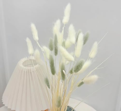 120pcs Dried Bunny Tails Flowers White and Grey Pampas Grass Natural Dried Floral Arrangement Dry Flowers for Christmas Halloween Boho Decor Home Wedding DIY Craft Decoration (16") - color: Grey-white