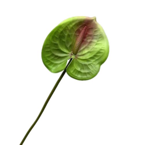 8pcs Artificial Anthurium Flower Single Stem 60cm Long, Green Faux Flamingo Lily Plant with Realistic Leaves, Fake Tropical Flowers for Home Decor Wedding Vase Arrangement - color: Green