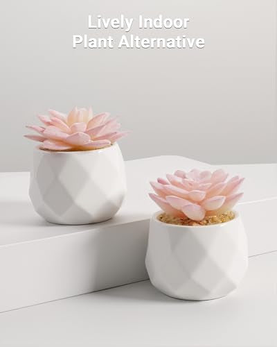 VIVERIE Mini Succulents Plants Artificial in Pots-Pink, Christmas Small Fake Succulents Plants for Home Decor Indoor for Women, White Ceramic Faux Succulents, Set of 2, Gifts for Mom - color: Pink-2 Pack