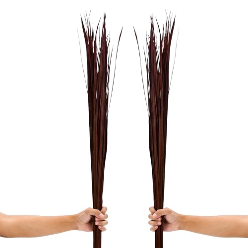 Leewadee Tall Vase Filler, Natural Grass Stems – 2 Bunches of Colored Branches for Vases, Carefully Dried Twigs for Home and Bar Decoration, 45 inches, Bordeaux - color: Bordeaux, style: Dried Grass