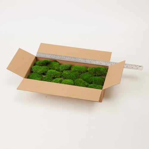 Preserved Pole Moss Pillow Bun Cushion Natural Decorative Real Natural Green DIY Kit Gardenning Art Wall Decor Florist Decor Easter Table Decor Wedding (1.5 sq.ft, Green-D) - color: Green-d, size: 1.5 sq.ft.