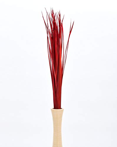 Leewadee Tall Vase Filler , Natural Grass Stems – 2 Bunches of Colored Branches for Vases, Carefully Dried Twigs for Home and Bar Decoration, 45 inches, Red - color: Red, style: Dried Grass