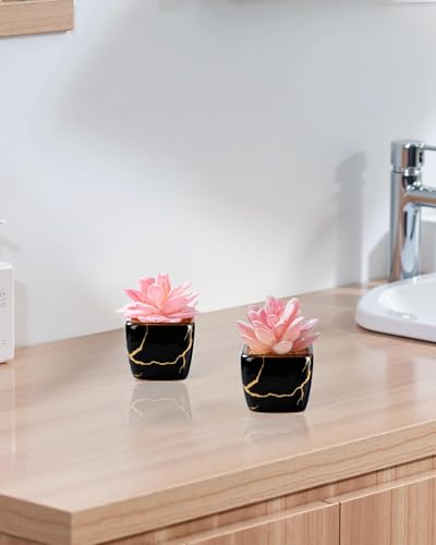 Taybonds Artificial Succulent in 2PCS Black Ceramic Pot, Small Fake Succulents Plants for Office and Desk Decor,Bathroom, Bedroom, Shelves, Vanity for Women - color: Black
