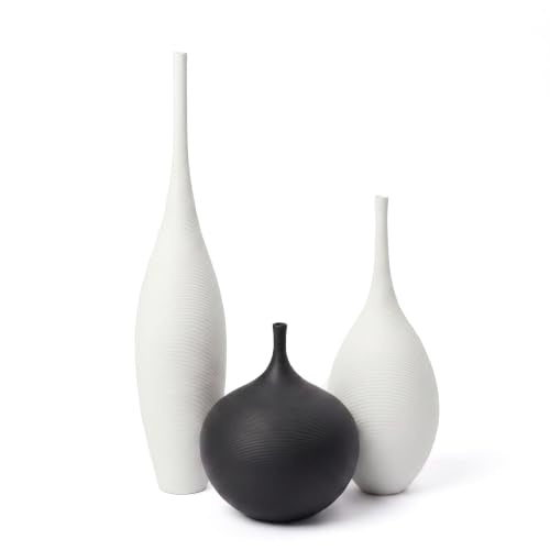 Relexome White Ceramic Vase Modern Wabi-Sabi Black Flower Vase Set of 3 Decorative Aesthetic Vases for Centerpieces Pampas Matte Minimalist Vases for Living Room Table Shelf Home Decor Gift - color: 2white+black