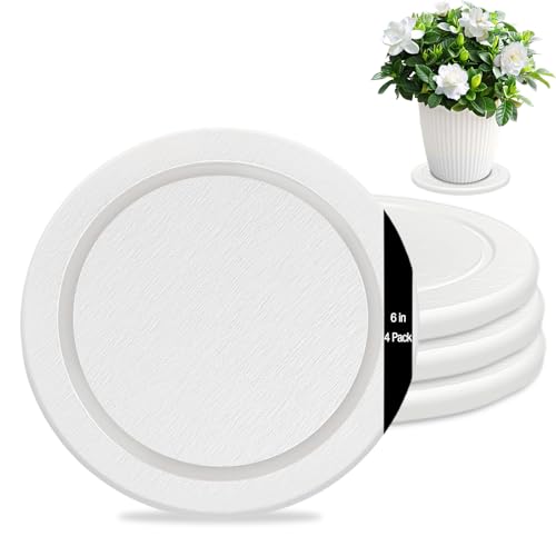 Instant Dry Diatomaceous Earth Plant Saucer, Round Stone Drip & Drainage Tray for Indoor Outdoor, Absorbent Pot Coaster, Housewarming Gift, Keep Floors Dry and Clean (4,6in,White) - color: White, size: 6.30 × 6.30 in
