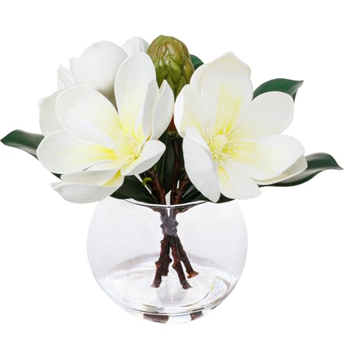 White Magnolia Artificial Flowers with Vase Fake Magnolia Flowers Indoor Real Touch Flowers with Faux Water for Home Decor Centerpieces for Tables - color: Magnolia White
