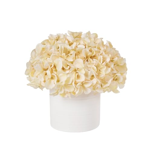 Fake Silk Hydrangea Flowers in Vase, Artificial Flowers with White Ceramic Vase, Small Potted Floral Arrangement for Home Kitchen Counter Vanity Coffee Table Centerpiece Bathroom Decor (Champagne) - color: Hydrangea, Champagne