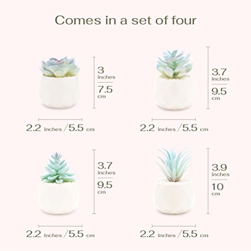 VIVERIE Mini Blue Artificial Succulent in Pots (White Ceramic, 4 Pot Set) Fake Plants for Indoors, Office Decor Gift for Women, Office Home Decor Gifts, Faux Plant for Shelf/Desk/Bathroom Decor - color: Blue