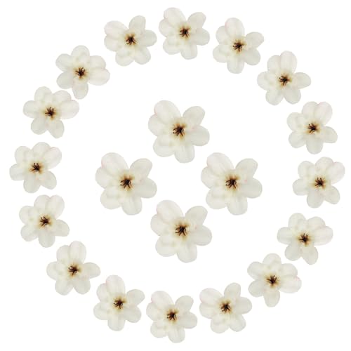 uxcell 20 Pcs Artificial Cattleya Flower Heads, Fake Cattleya Heads Bulk Artificial Flowers for DIY Wedding Bouquets Centerpieces Party Home Decorations, Autumn White - color: Autumn White