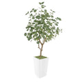Artificial Eucalyptus Tree 5FT, Faux Eucalyptus Tree with Tall White Planter, Realistic Leaves & Natural Wood Trunk, Ideal for Home Decor and Housewarming Gift - size: 5ft