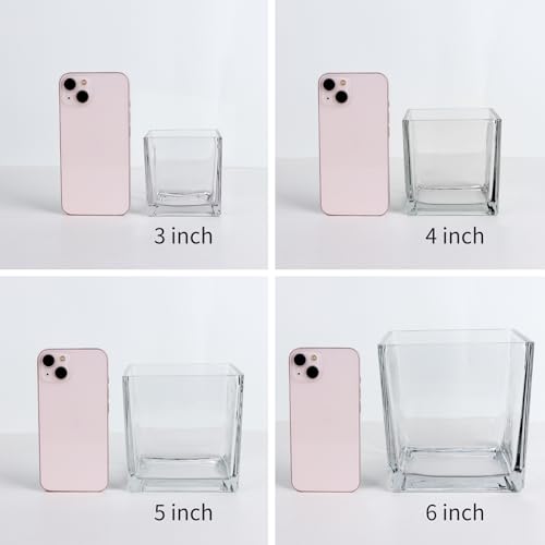 1 Pack Square Glass Vase 5" x 5" x 5", Clear Flower Vase for Centerpieces, Candle Holder for Wedding Party Events, Home Décor - size: 5inch