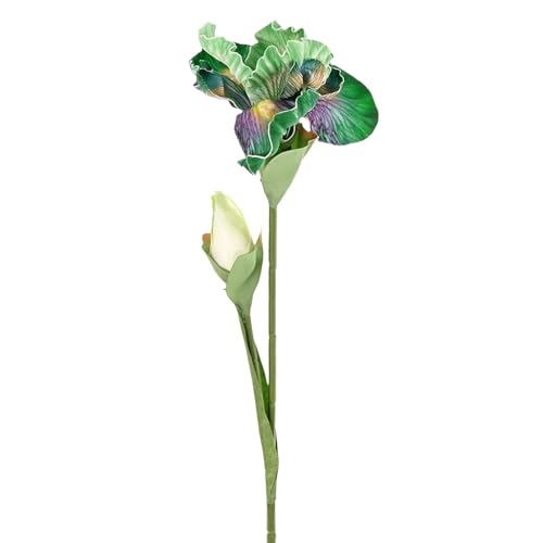 M METERXITY 1-Pack Green Artificial Iris Flowers with Flower Bud,17.7 Inch Faux Iris PU Bouquets Real Touch Faux Flowers for Home/Wedding/Christmas/Party - color: Green