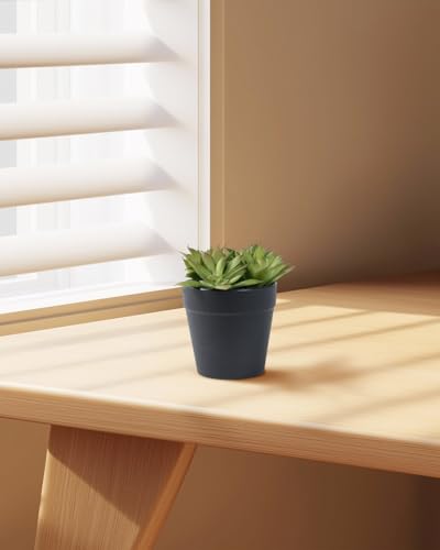 Faux Assorted Succulents - Artificial Succulent Plants for Desk, Bathroom, Shelf, or Home Decor, Realistic Greenery for Farmhouse, Office & Kitchen Decoration PA-019 - size: PA-019