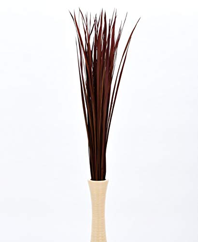 Leewadee Tall Vase Filler, Natural Grass Stems – 2 Bunches of Colored Branches for Vases, Carefully Dried Twigs for Home and Bar Decoration, 45 inches, Bordeaux - color: Bordeaux, style: Dried Grass