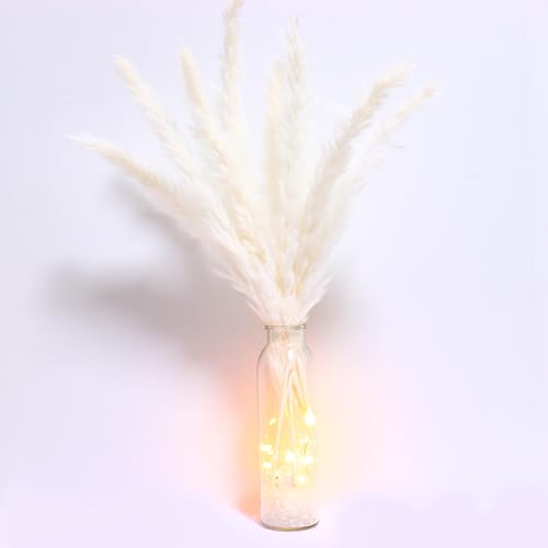 White Pampas Grass in Glass Vase with LED Lights & Faux Crystals, Dried Flowers Modern Floral Centerpiece for Home Decors Living Room Office Wedding Boho Farmhouse Table Decor - color: White With Glass Vase