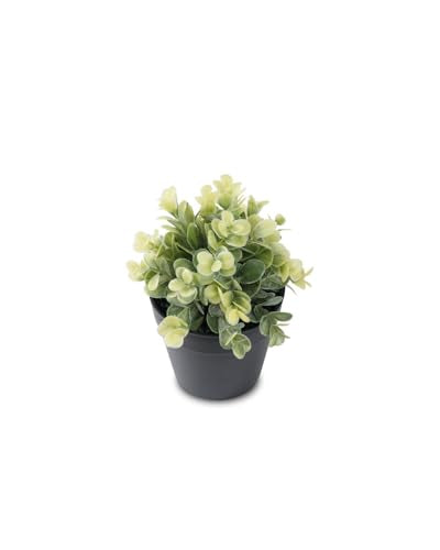 Fake Eucalyptus Potted Artificial Plant – Small Faux Eucalyptus for Desk, Bathroom, Shelf, or Home Decor, Realistic Greenery for Farmhouse, Office & Kitchen Decoration PA-012 - size: PA-012