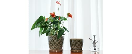 Docrin Dark Green Ceramic Planter Set - 6.6"+5.5" Indoor Outdoor Pots with Drainage Holes & Saucers for Home Office Decor - color: Dark Green