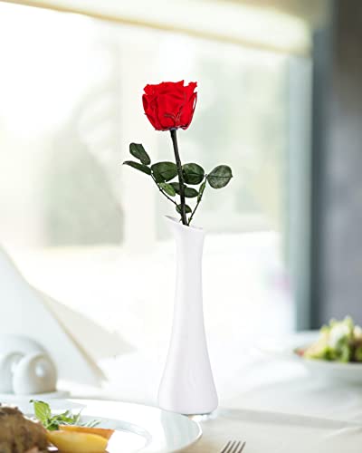 Flowers for Delivery Prime, Preserved Roses Flower Gifts for Women, Real Roses Single Rose Presents for Her, Mom Birthday Gifts from Daughter, Valentines Flowers Red Roses - color: 00-red