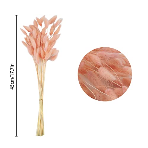 Uieke 17’’ Natural Bunny Tails Dried Flowers, 120 Pcs Dried Lagurus Ovatus, Dried Pink Pampas Grass Decor for Farmhouse Flower Arrangements Wedding Home Boho Party Decorations - color: Pink-120pcs
