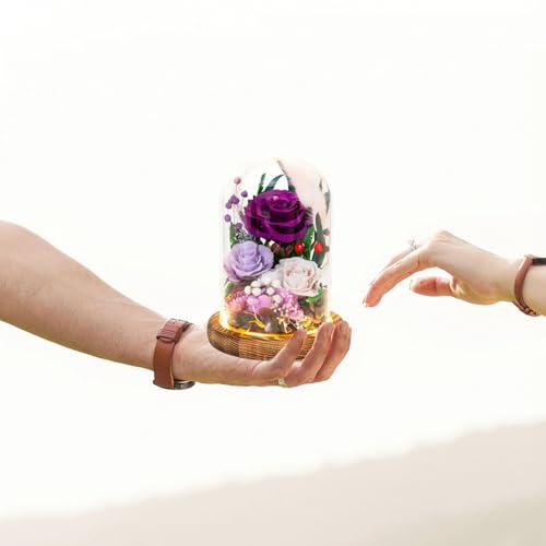 Forever Flower Gifts for Her:Perfect Graduation Flowers for Daughter Wife Mom-Preserved Flower with Symbolic Ladybugs–Flowers for Delivery Prime on Anniversary Valentines Birthday (Purple) - color: Purple2