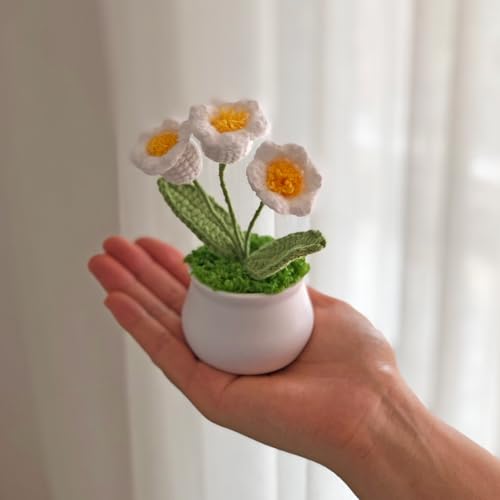 Joekaran Crochet Flowers Cute Little Potted Flower, Gift for Birthday, Teacher’s Day, Graduation, Anniversary, Christmas, Decor for Car Dashboard,Home Office Decoration (White Lily of the Valley) - color: White Lily of the Valley