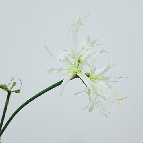 6 Sets 67 CM Lycoris Radiata Artificial Spider Lily Flowers Stonegarlic Clusteramaryllis for Home Garden Wedding Party Decor (Pure White) - color: Pure White