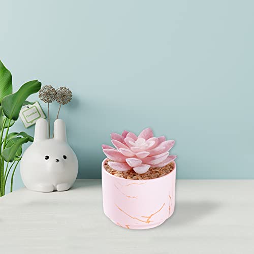 ZENIDA Succulent Artificial Plants,Cute Fake Succulents in 1 Pink Ceramic Pots,Small Fake Plants for Office,Table,Desk,Bathroom, Bedroom,Aesthetic Room Shelves Decor,Desk Decorations for Women Office - color: Pink