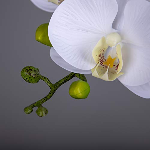 Fnize Orchid Stems Artificial Flowers Real Touch Latex Faux Phalaenopsis Branches 9 Large Blooms 38 Inches 2pcs White - color: White